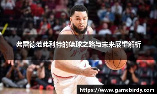 弗雷德范弗利特的篮球之路与未来展望解析